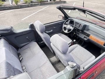 Rover 100